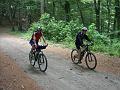 pedalata3 16